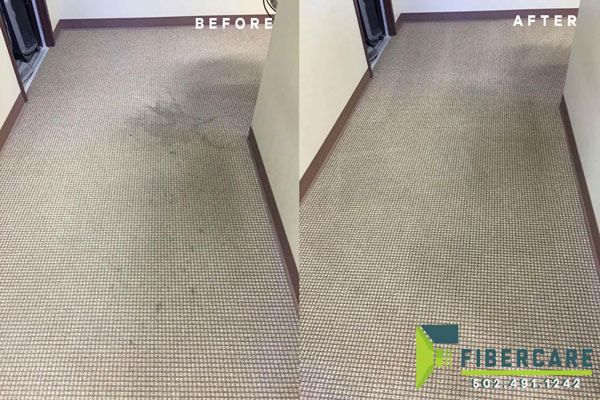 Before and after professional carpet cleaning by FiberCare Louisville