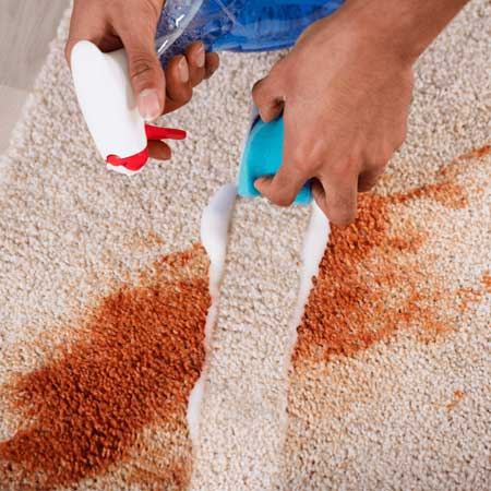 Tile & Grout Cleaning in Louisville, KY